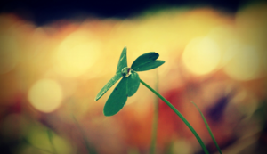 快递空包裹是什么意思的简单介绍