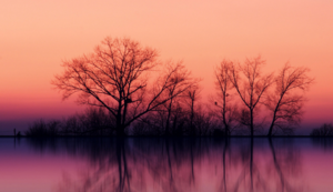 伪空包器件是什么意思,空封器件是什么意思