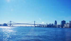 快递空包裹是什么意思的简单介绍