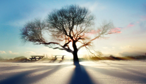 伪空包器件是什么意思,空封器件是什么意思